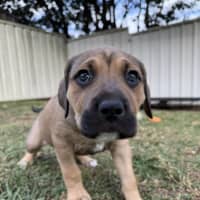 Photo of Maggie