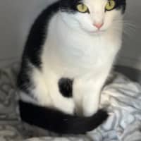 Photo of Yennifer