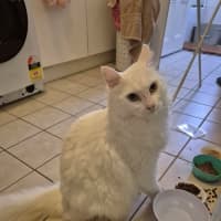 Photo of Mr Bigglesworth