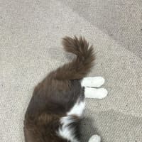 Photo of Kevin