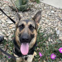Photo of Trudy
