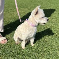 Photo of Lily Peggotty