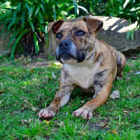 Photo of Polly Pocket