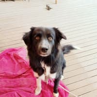 Photo of Finn Quinell