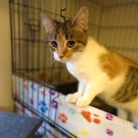 Photo of Laynee 🌺