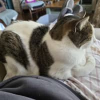 Photo of Jimmy! ❤️ 