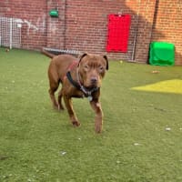 Photo of Darcie