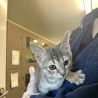 Photo of Miney 