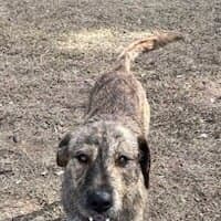 Photo of Bango