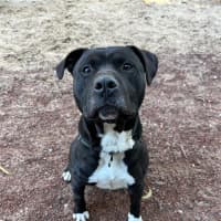 Photo of Tank