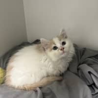 Photo of Charlotte