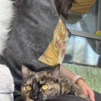 Photo of Rosie