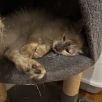 Photo of Sid And Nancy