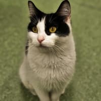 Photo of Heidi