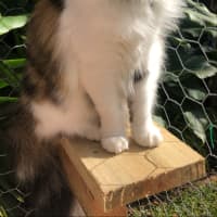 Photo of Hazel
