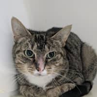 Photo of 🎊 Martha May 6710 🎊