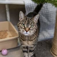 Photo of Cleo