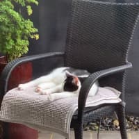 Photo of Ghosty