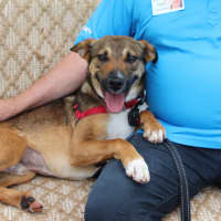 Photo of Ripley