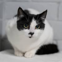 Photo of Wednesday