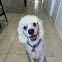 Photo of Sonny