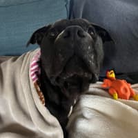 Photo of Monte