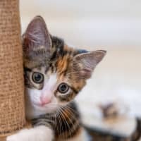 Photo of Zoe