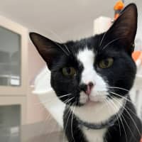 Photo of Charlie (9121)