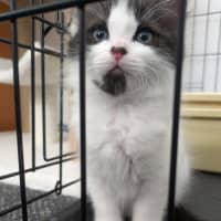 Photo of Zippy Snail