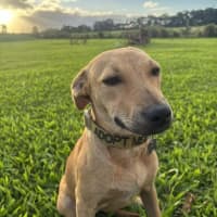 Photo of Mash