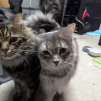 Photo of Wax & Wayne