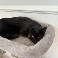 Photo of Black Betty