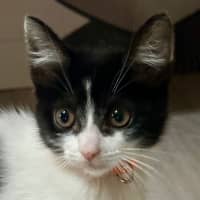 Photo of Jessie