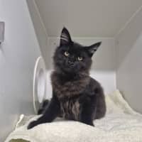 Photo of Tufts 