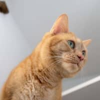 Photo of Narmi