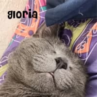 Photo of Gloria