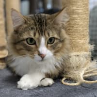 Photo of 🧭 Elijah 5198 🧭