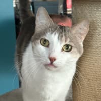 Photo of Mr. Baby
