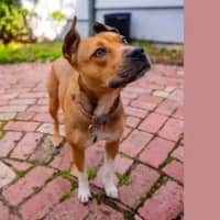 Photo of Chloe Haliwell