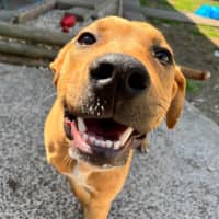 Photo of Max