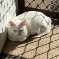 Photo of Chloe Belle 