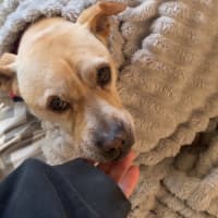 Photo of Mister And Kaydo