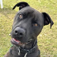 Photo of Mack
