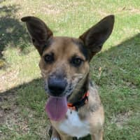 Photo of Maggie   Mae 