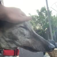 Photo of Monty