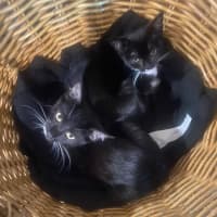 Photo of Baby & Belle