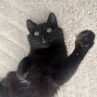 Photo of Ken