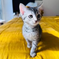 Photo of Twinkles 🌟