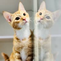 Photo of Elfie And Zorra 