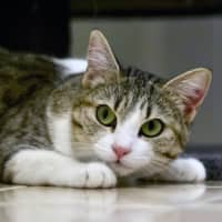 Photo of 🌷 Mia 🌷